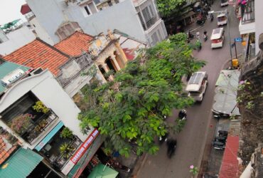 nhà mặt phố Hoàn Kiếm, 65m, mặt tiền 6m, kinh doanh ngày đêm