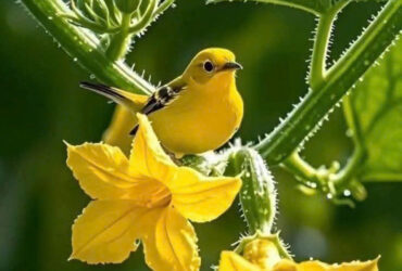 CỰC HIẾM – VIEW HỒ THOÁNG MÁT – VỊ TRÍ VÀNG ĐẦU TƯ