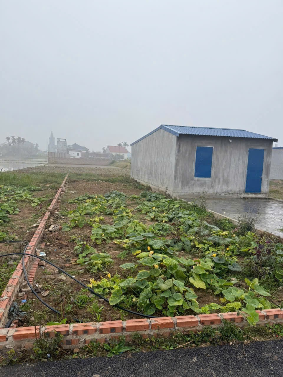 Lô Đất 95m2 Minh Tân Kiến Thụy – Ngõ Rộng 5m Bám Sát Ga LC-HN-HP ZALO 0567 222 555