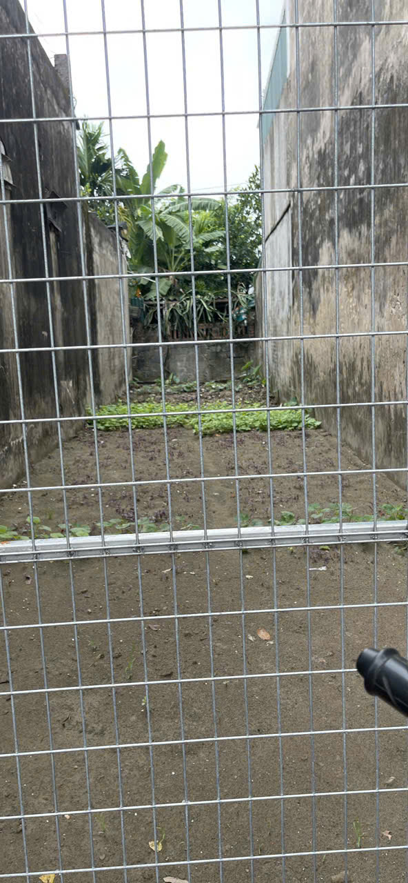 chủ ngột thở cần bán nhanh lô đất mặt đường Long Hưng gần chợ đầu mối và trường học, trạm y tế