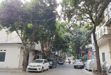 MẢNH ĐẤT ĐẸP XÂY TỔ ẤM TẠI VIỆT HƯNG – 61M2- 1x Tỷ–Ô TÔ TRÁNH ĐỖ [0372311369]