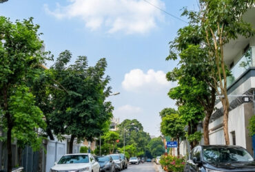 [BÁN ĐẤT] BIỆT THỰ VIỆT HƯNG – 330M2 – MẶT TIỀN 12M – SÁT VINHOMES RIVERSIDE – GIẢM GẤP 3 TỶ [0372311369]