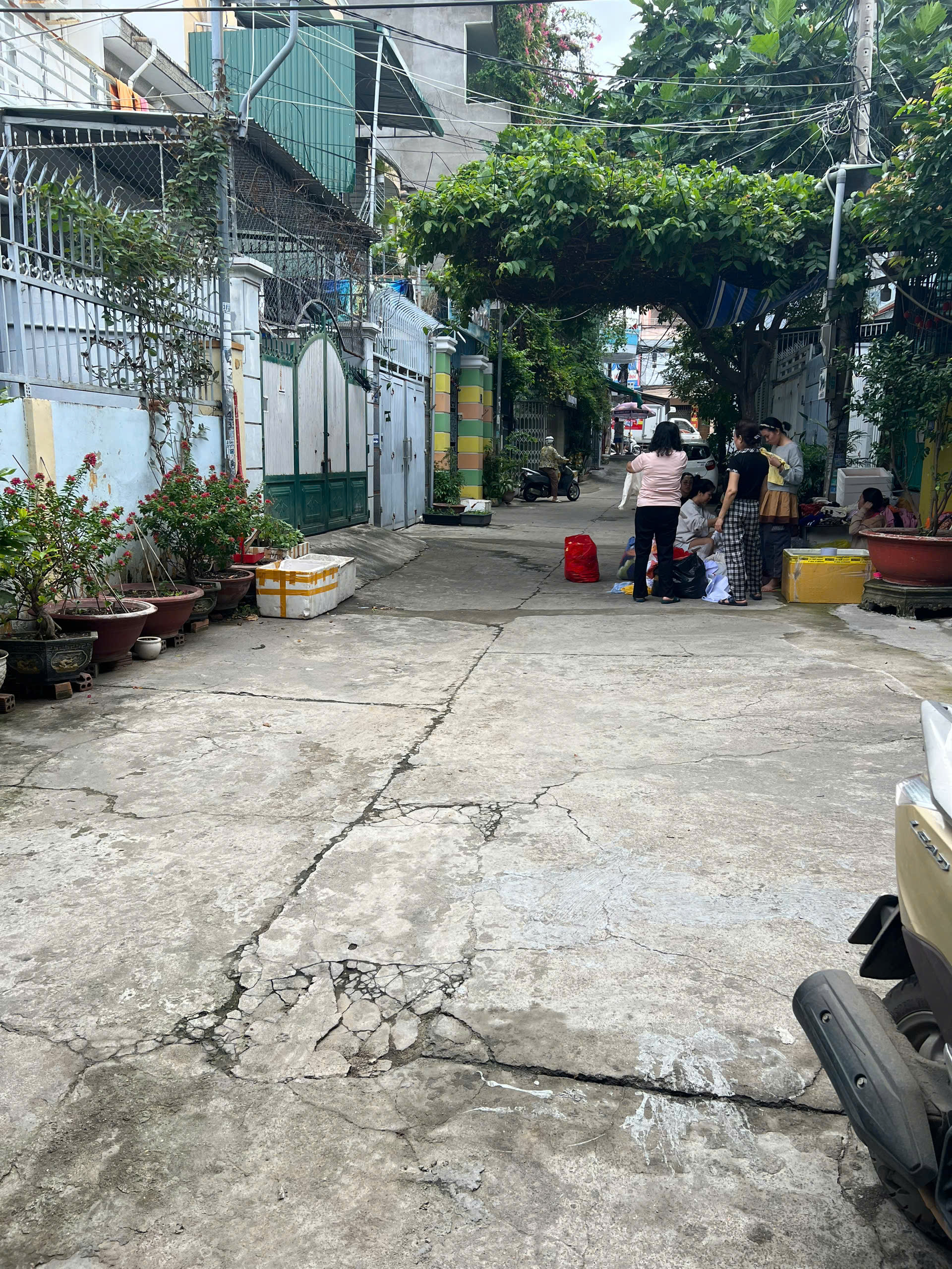 Bán Nhà Phước Hải – Hẻm Ô Tô Rộng 6.5m – Vị Trí Đẹp Gần Lê Hồng Phong