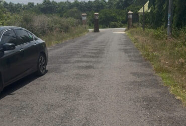 Chính chủ bán lô đất đẹp tại Nha Bích – đường đi thuận tiện, giá tốt.