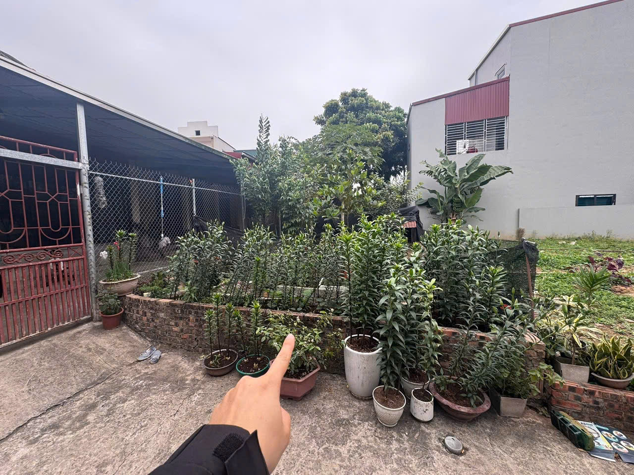 CẦN B.ÁN GẤP 75M SIÊU RẺ Ô TÔ ĐỖ CỬA TẠI THỌ AN _ LIÊN MINH _ HÀ NỘI.