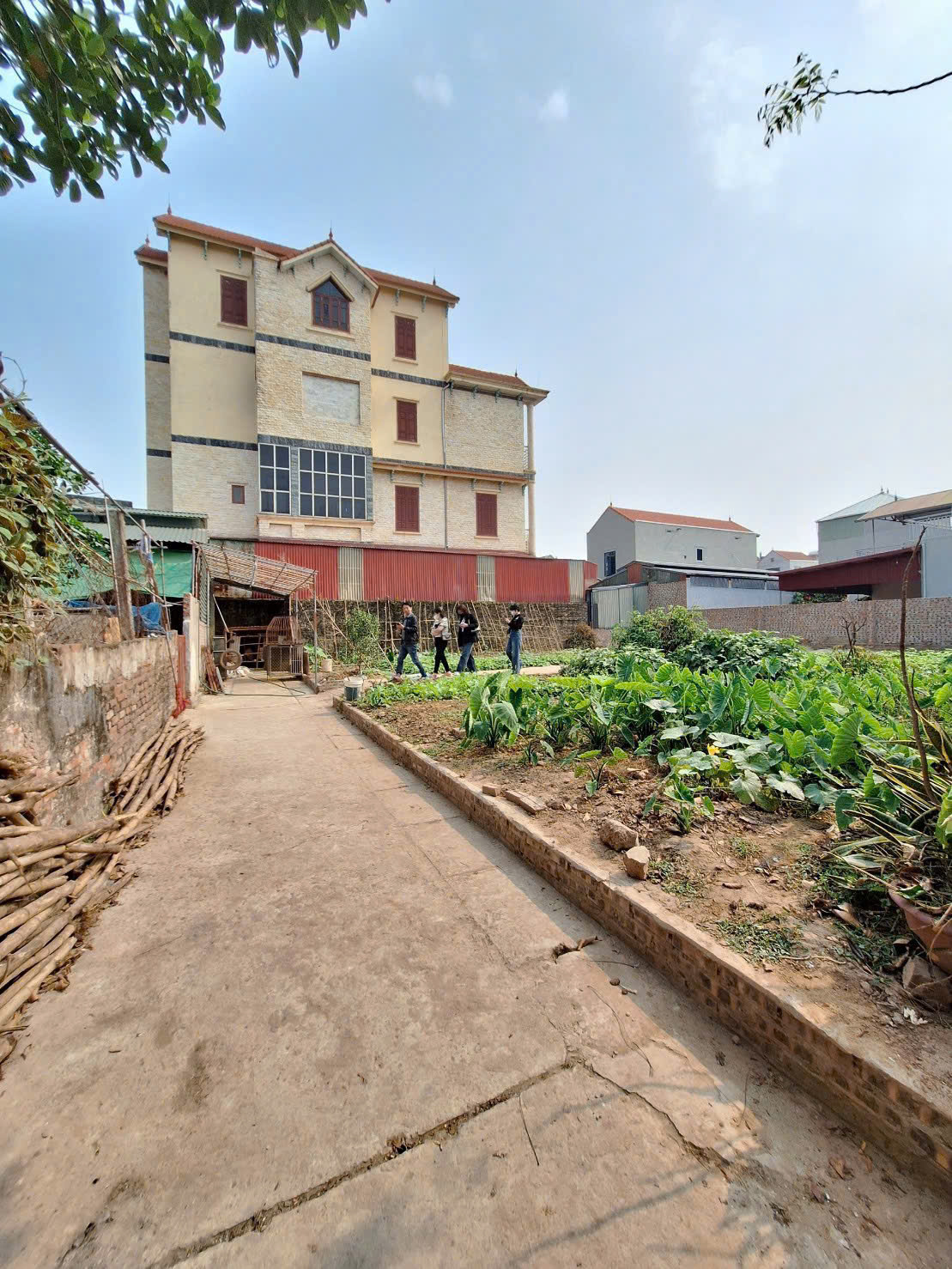 50,9m đất tại Trung Châu _ Liên Minh _ Hà Nội🔥.