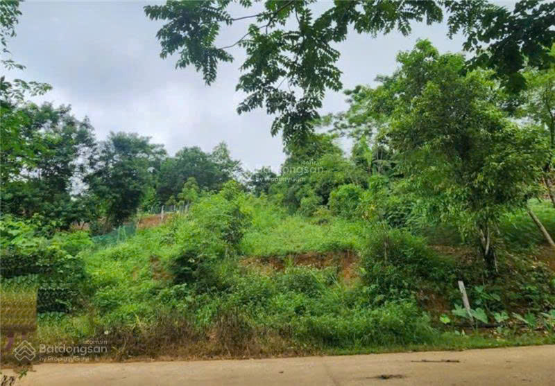 Đất bán tại ĐT 433, 1,1 tỷ, 1031 m2, huyện Đà Bắc, Hòa Bình