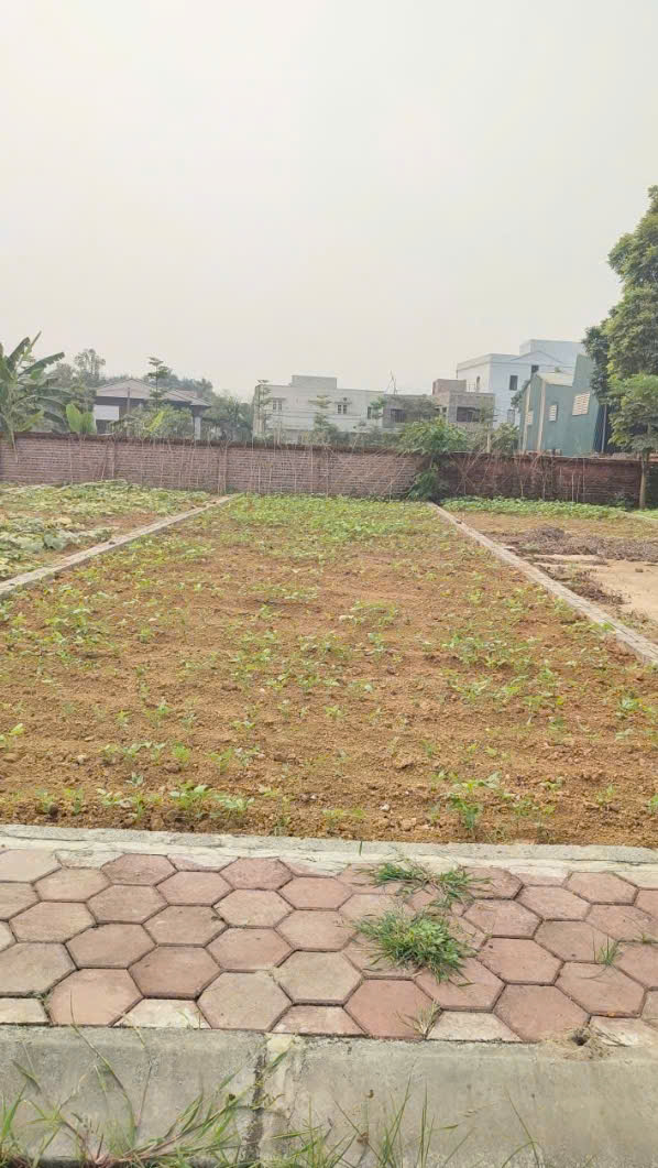 Bán gấp lô đất đẹp 300m2 sát đường 446 cạnh Ngã Tư Vai Réo đầu tư sinh lời