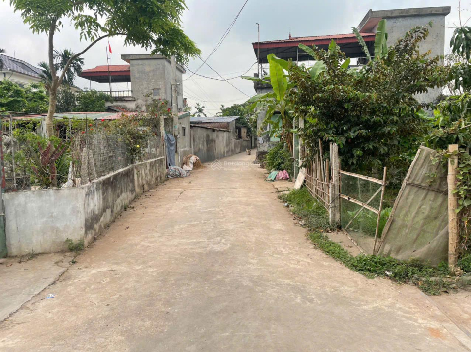 BÁN ĐẤT THÔN QUANG TRUNG XÃ QUỲNH PHỤ – CÁCH KCN SAO VÀNG 1P ĐI XE – GIÁ 690 TRIỆU