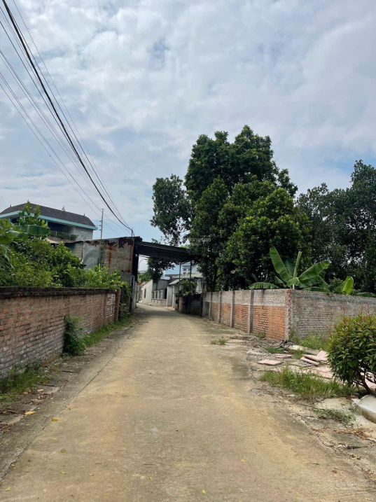 thôn 3 Phú Cát, giá siêu tốt diện tích: 134m2 full thổ cư 100% giá rẻ