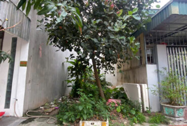 chính chủ bán lo đất tái định cư vũ phúc- thái bình gần trường mầm non