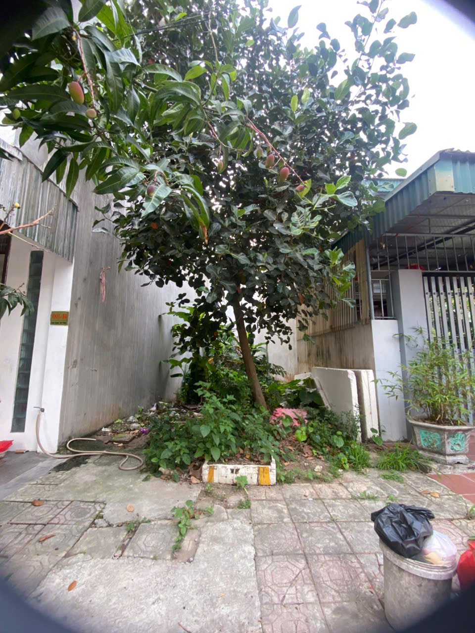 chính chủ bán lo đất tái định cư vũ phúc- thái bình gần trường mầm non