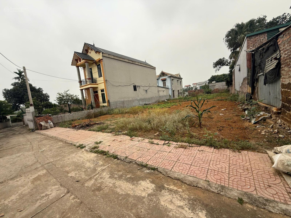 BÁN ĐẤT PHÚ CÁT 660M² 150M² THỔ CƯ MẶT TIỀN RỘNG 14.5M GẦN NHÀ MÁY IN TIỀN