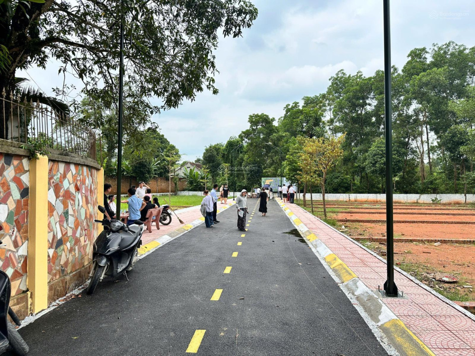 Bán đất Cổ Đông, 115m2, giá tốt, mặt tiền 6m, pháp lý đầy đủ