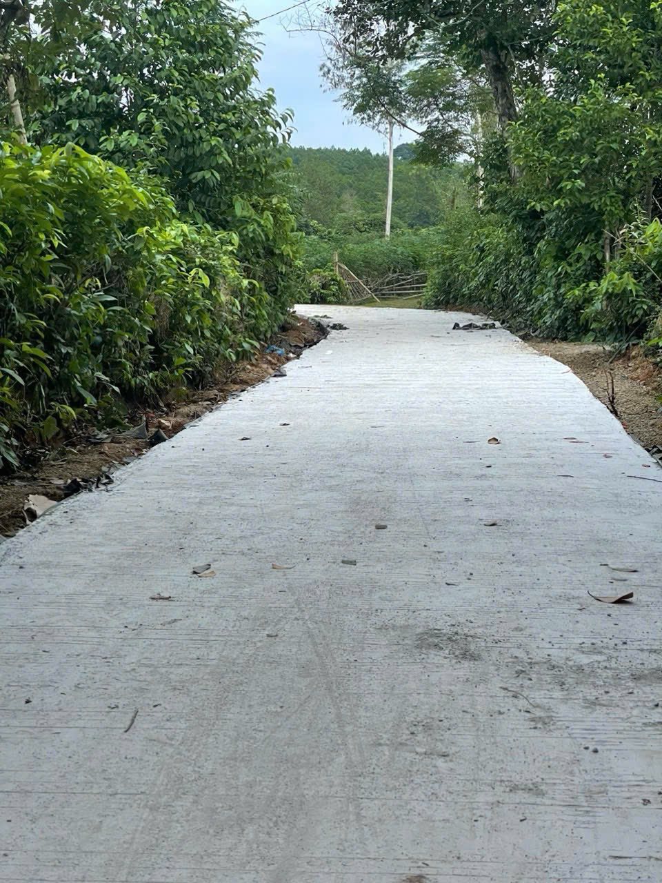 CHỈ VỚI 400TR SỞ HỮU 450M PHÚ THỌ, Ở HAY ĐẦU TƯ ĐẢM BẢO SINH LỜI