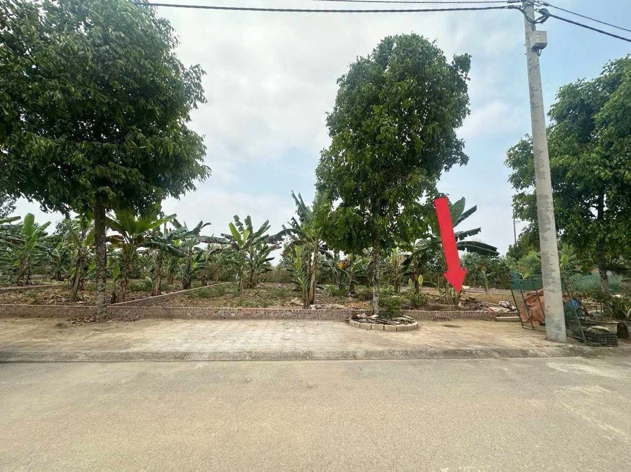 Cơ hội “bắt đáy” hiếm có tại Bình Yên – chỉ 108m² nhưng giá đang ở vùng cực tốt, mua là có lợi thế ngay