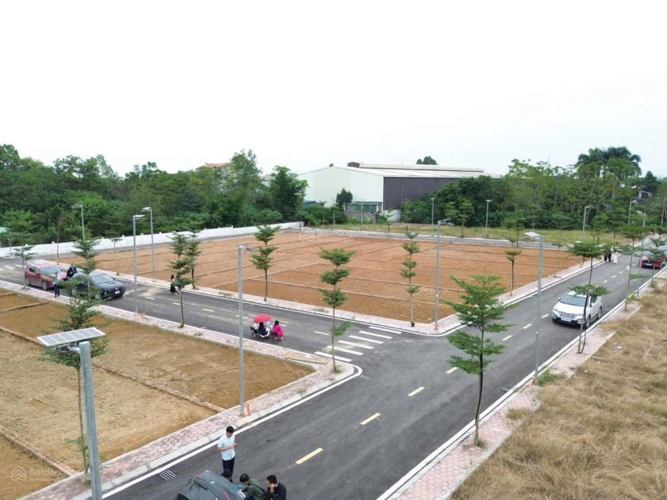 Giá sốc chủ nhà cần tiền cắt lỗ lô đất Phú Cát gần ĐHQG, FPT. DT 104.6m2 full thổ cư, sẵn sổ