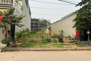CHÍNH CHỦ BÁN GẤP đất Phú Cát, 100 m2, hàng hiếm giá cực chất. Cạnh khu công nghệ cao Hòa Lạc