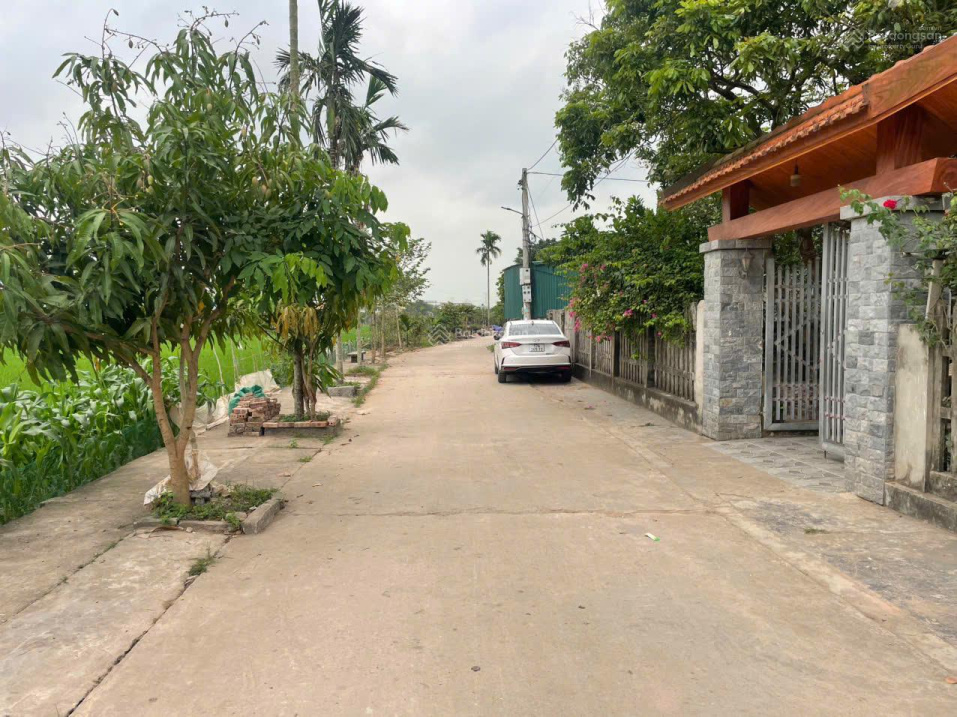 Chỉ 690tr có ngay đất xã Quỳnh Phụ – Gần chợ, Cty Sao Vàng, TT Quỳnh Côi cũ, đường ô tô