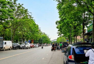 BÁN ĐẤT ĐẤU GIÁ VIỆT HƯNG 74M2, MT 8m, VỈA HÈ Ô TÔ TRÁNH, MẶT CÔNG VIÊN- 16.3 Tỷ