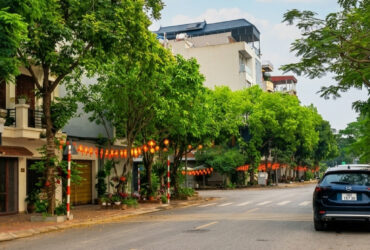 ĐẤT TĐC VIỆT HƯNG 90M2 – MẶT CÔNG VIÊN- Ở SƯỚNG– 20.x TỶ [0372311369]