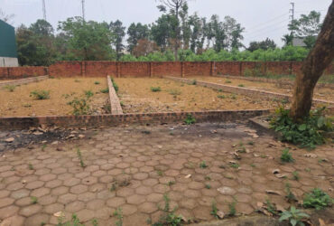 100m Tái định cư Vai Réo, xã Phú Cát giá rẻ bất ngờ