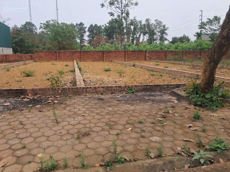 100m Tái định cư Vai Réo, xã Phú Cát giá rẻ bất ngờ