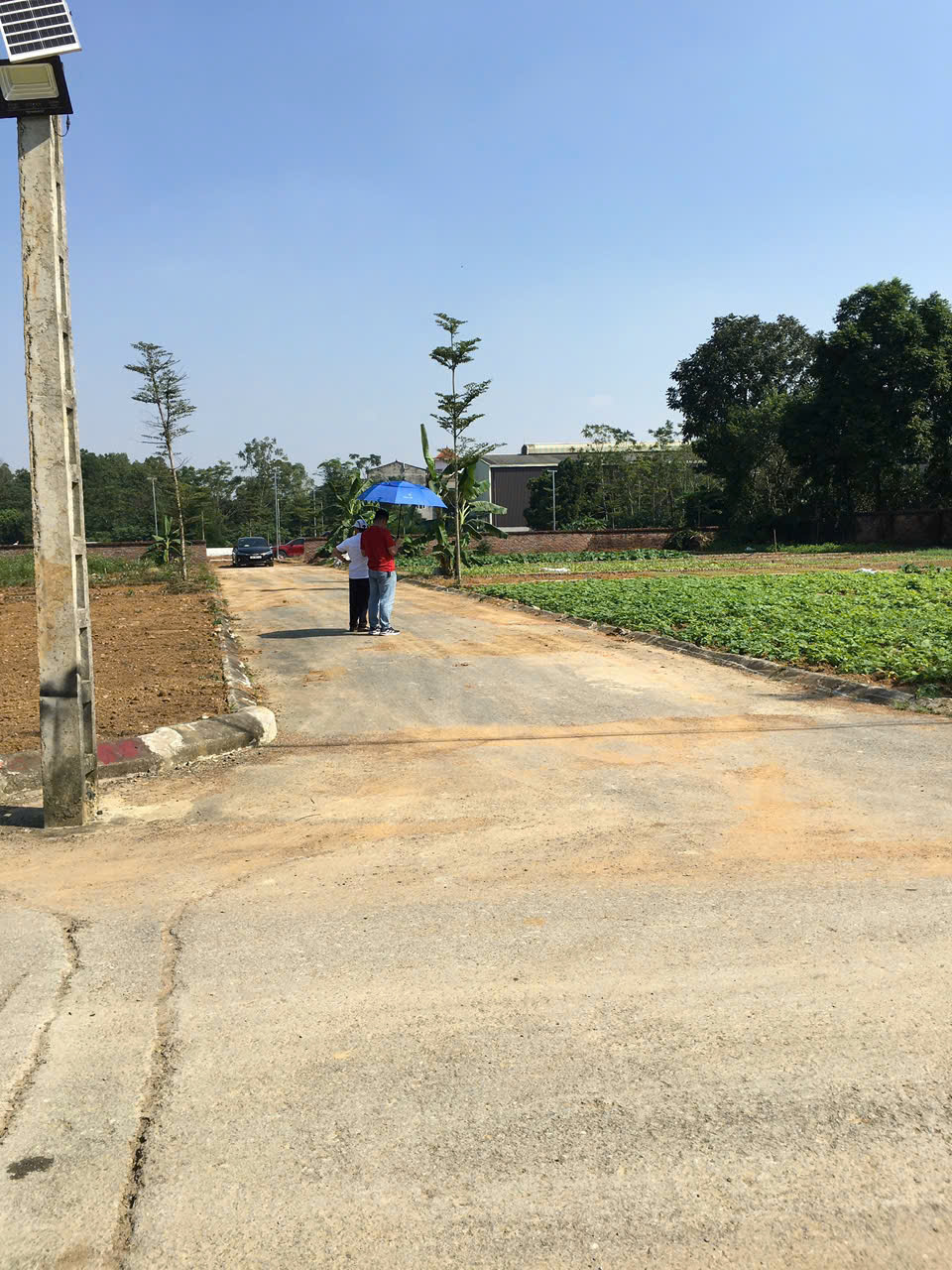 Chính Chủ Bán đất Liền Kề sát tái định cư Bắc Phú Cát/ Hòa Lạc  101.7m2 đất fun thổ cư. 4.x tỷ , lh 0966329691