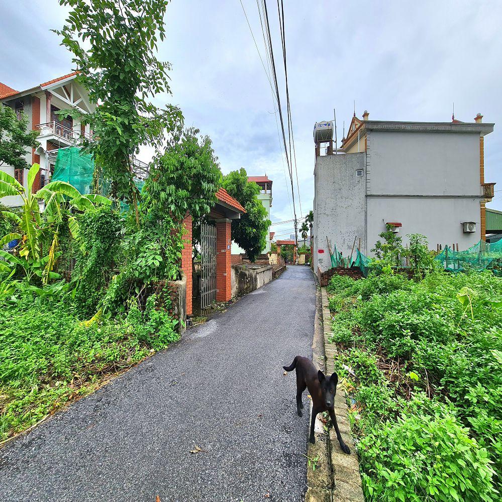 Bán đất 60m2 Thuận An, Hà Nội, mt 4m ngõ rộng gần trục chính 📞 0989894845