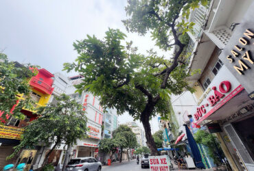 CHÍNH CHỦ BÁN NHÀ MẶT TIỀN KINH DOANH Đ.NGUYÊN ĐÌNH CHIỂU, QUẬN 3 – DUY NHẤT NHÀ CHÀO BÁN CHỈ 15TY * LIÊN HỆ GIANG GIANG:0938676685