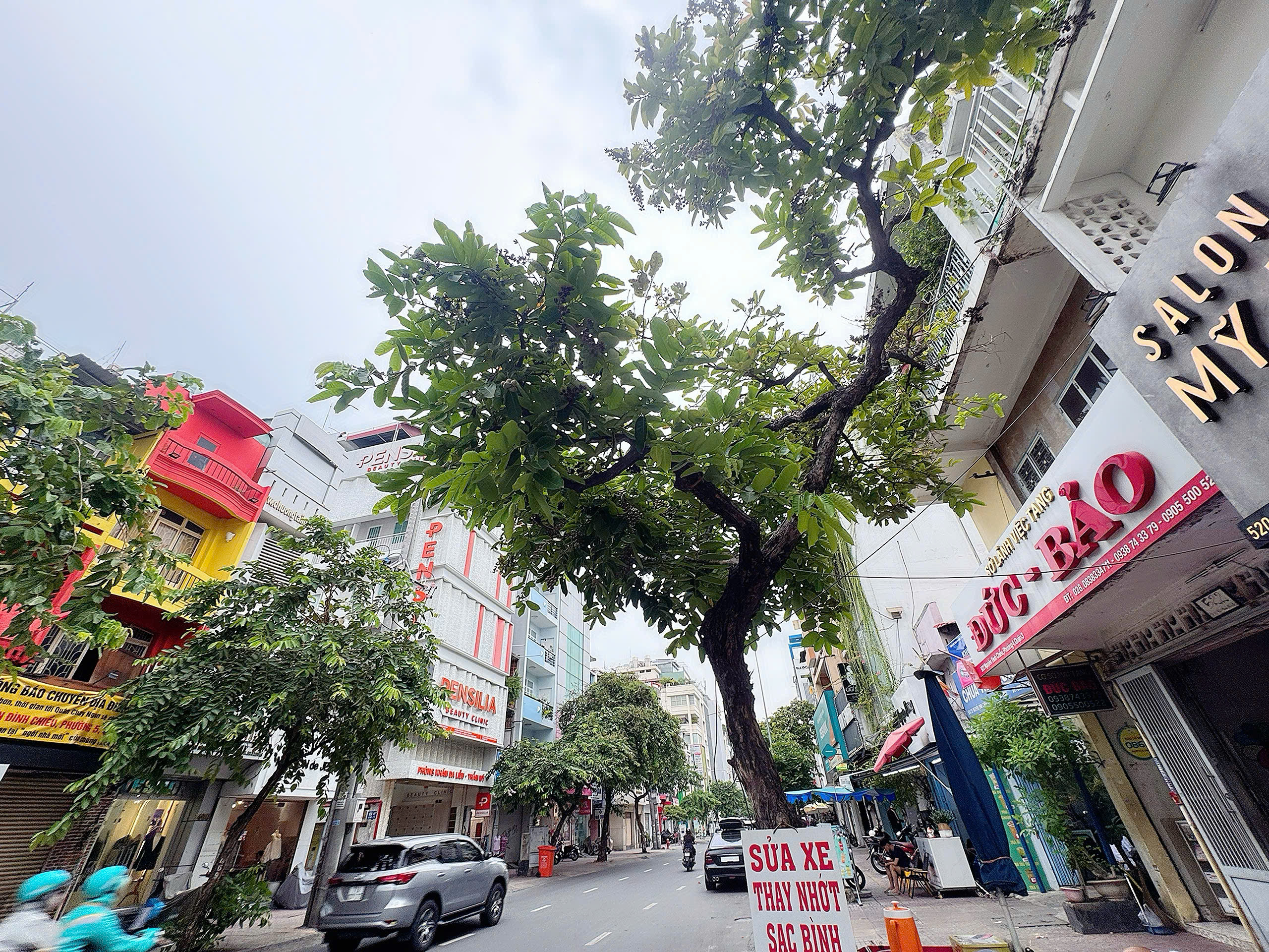 CHÍNH CHỦ BÁN NHÀ MẶT TIỀN KINH DOANH Đ.NGUYÊN ĐÌNH CHIỂU, QUẬN 3 – DUY NHẤT NHÀ CHÀO BÁN CHỈ 15TY * LIÊN HỆ GIANG GIANG:0938676685