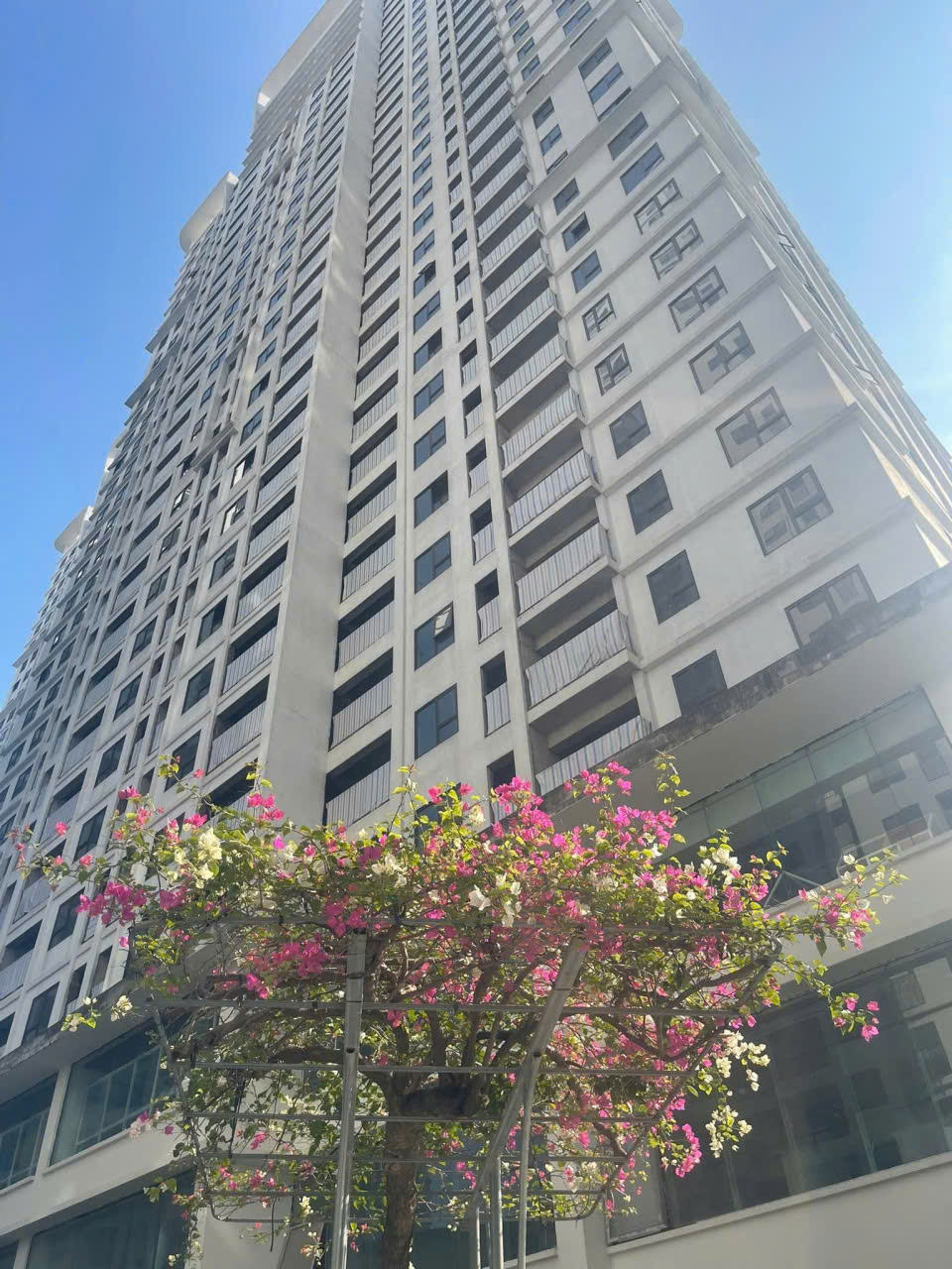 TECCO ELITE CITY RA MẮT CHÍNH SÁCH “BOM TẤN” DẪN ĐẦU THỊ TRƯỜNG