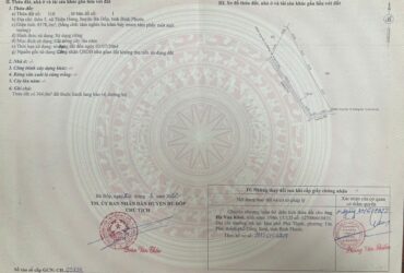 BÁN RẪY CAO SU CẠO NĂM THỨ 2, 8,3 SÀO 2 TỶ