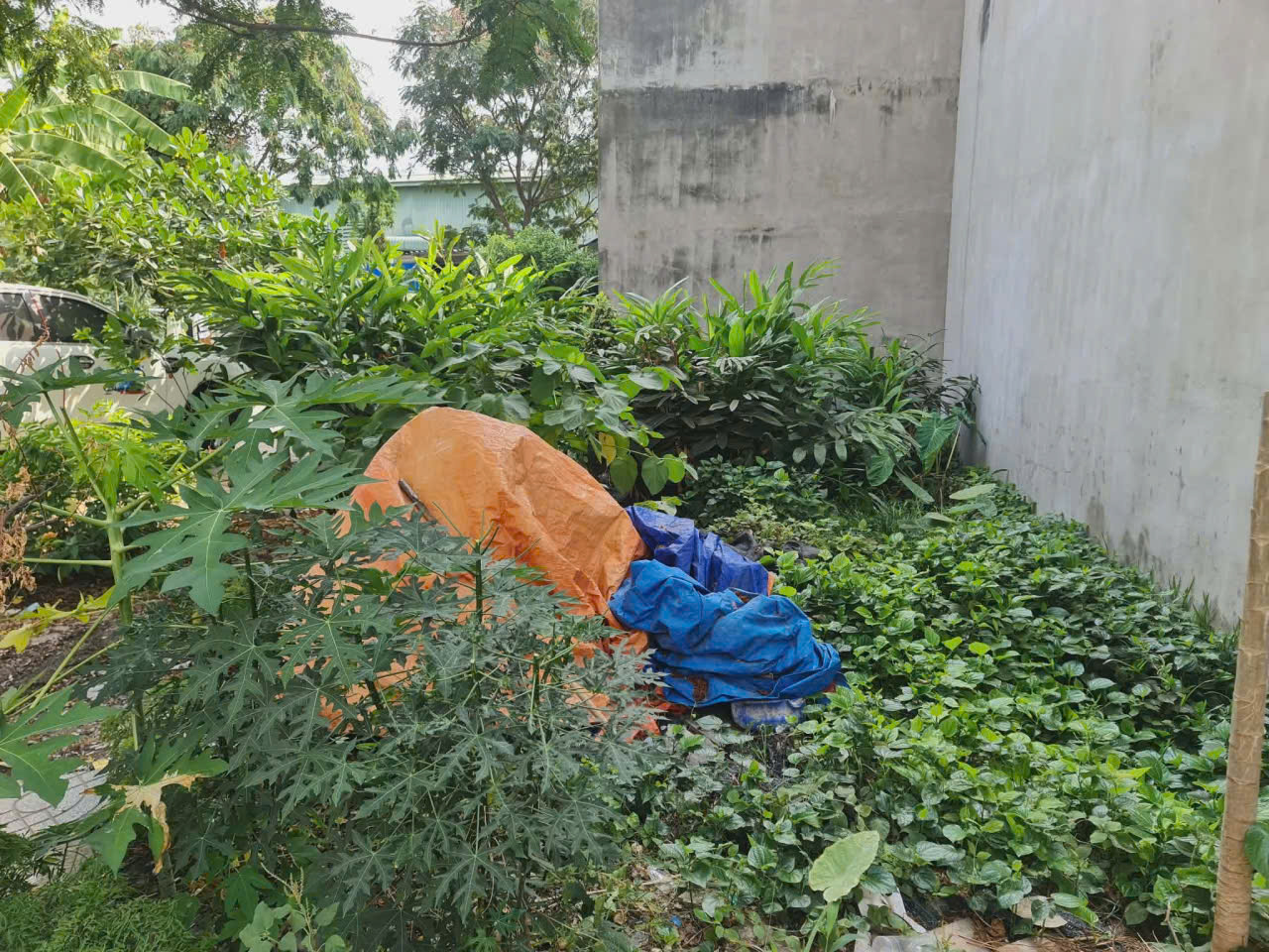 Bán lô đất cực đẹp,SHR đường nhựa 13m,giáp CÔNG VIÊN,gần Vincom 550