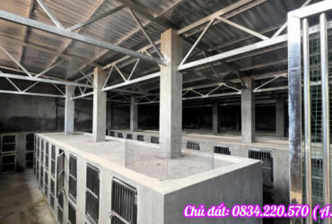 BÁN LỖ HƠN 1 TỶ – NHÀ KHO 1.073M² GẦN VÀNH ĐAI 4 – CỦ CHI – GIÁ 5,6 TỶ (TL)