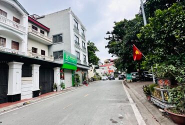 BÁN ĐẤT MP BỒ ĐỀ- VIEW SÂN BAY- CẦU TRẦN HƯNG ĐẠO- 80M2-2X TỶ