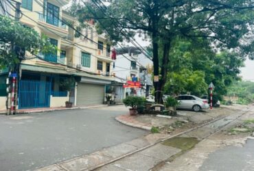 Hiếm, bay nhanh 100tr 1m đất Việt Hưng, ngõ rộng, 15m ra oto tránh, tiện ích ngập tràn