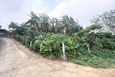 Lô đất 1510m2  đẹp tiềm năng sinh lời gần Khu CN cao Hòa Lạc, Phú Cát (Phú Mãn cũ), Huyện Quốc Oai, Hà Nội!