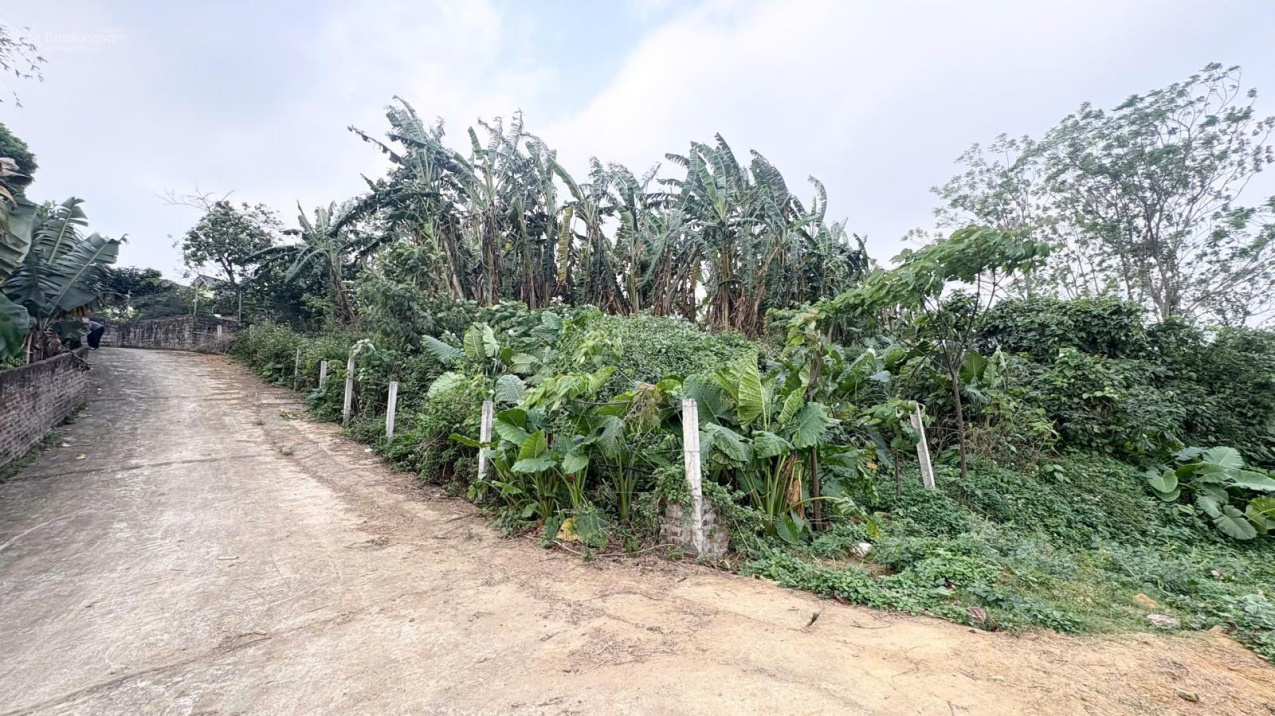 Lô đất 1510m2  đẹp tiềm năng sinh lời gần Khu CN cao Hòa Lạc, Phú Cát (Phú Mãn cũ), Huyện Quốc Oai, Hà Nội!