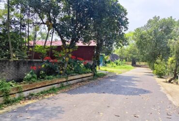 Sốc lô đất 101m2 Phú Cát view Hồ, khu vực trung tâm Hòa Lạc. Phù hợp xây trọ, đầu tư sinh lời, kết nối Metro 5 – Quốc Lộ 21. Liên hệ xem đất ngay.