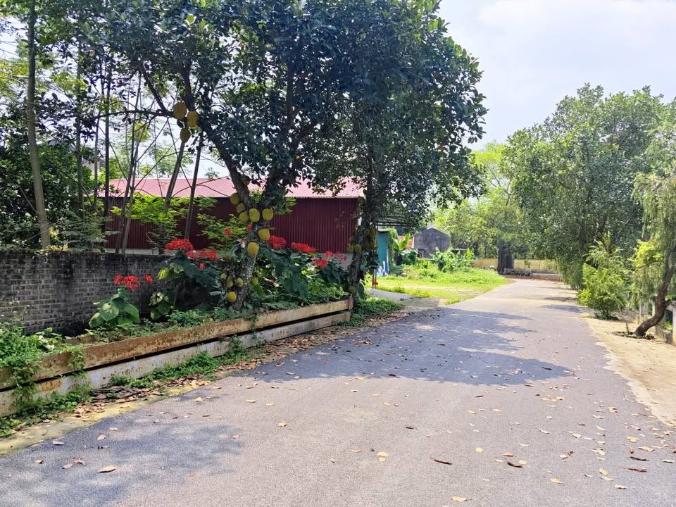 Sốc lô đất 101m2 Phú Cát view Hồ, khu vực trung tâm Hòa Lạc. Phù hợp xây trọ, đầu tư sinh lời, kết nối Metro 5 – Quốc Lộ 21. Liên hệ xem đất ngay.