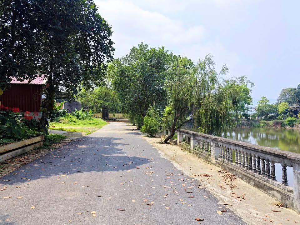Sốc lô đất 101m2 Phú Cát view Hồ, khu vực trung tâm Hòa Lạc. Phù hợp xây trọ, đầu tư sinh lời, kết nối Metro 5 – Quốc Lộ 21. Liên hệ xem đất ngay.