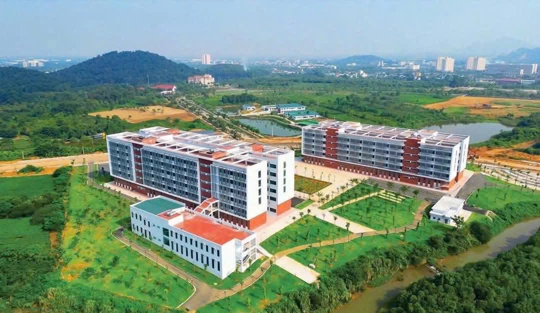 CHÁY HÀNG KHU ĐẤT CẠNH TRƯỜNG ĐH VÀ QUỐC LỘ 80M
