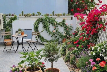Nhà mới Trần Quang Diệu – QUẬN 3 – 6 x 8.6m (52 m2) – 8.2 tỷ