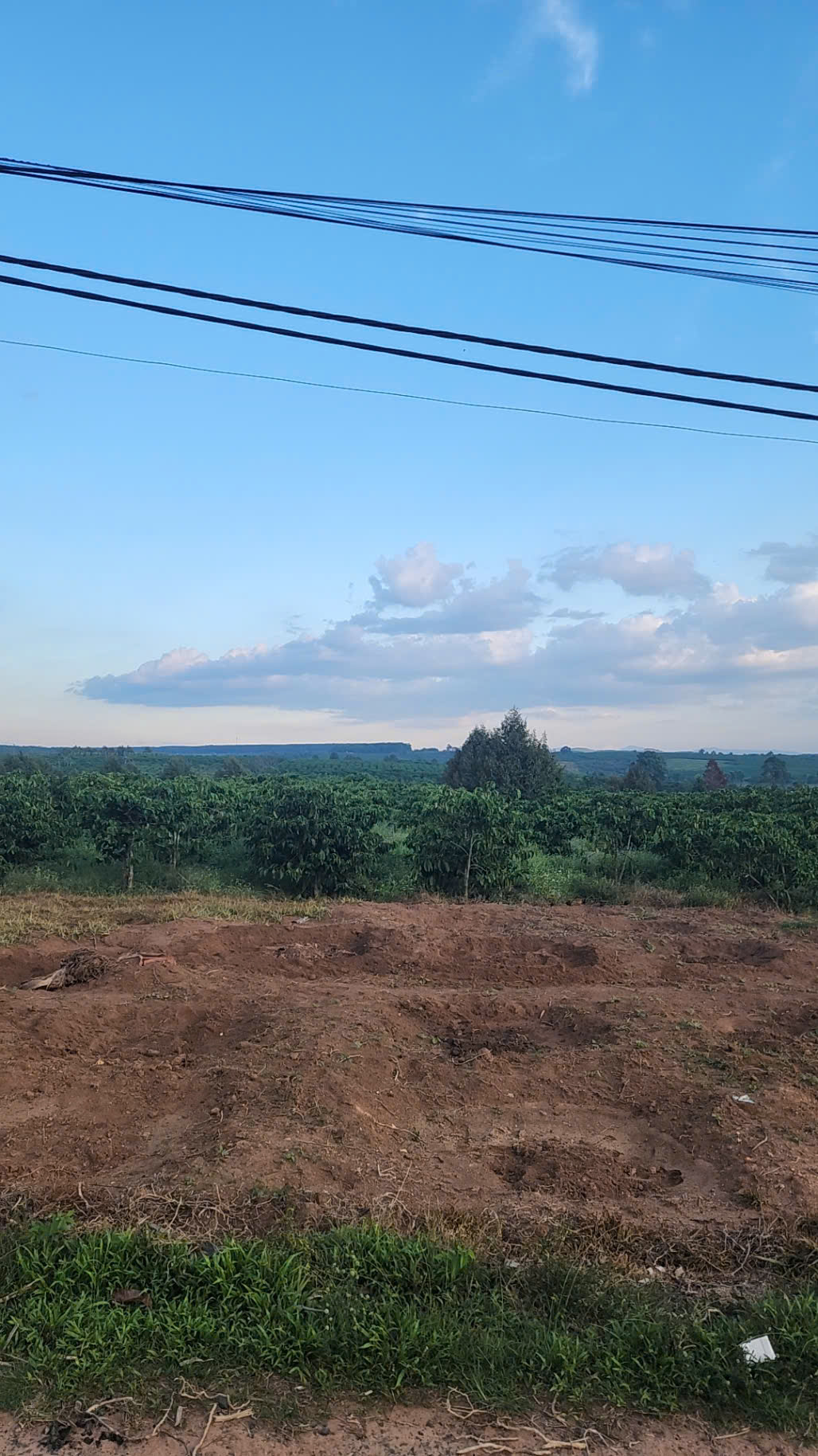 : Bán lỗ đất thổ cư 2.400 m2, mặt tiền rộng 70 m