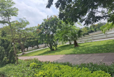🚨 GIẬT MÌNH VỚI CĂN NHÀ ĐẸP NHƯ HOMESTAY NGAY TRUNG TÂM THẠCH BÀN – CHỈ NHỈNH 6 TỶ 😱🔥