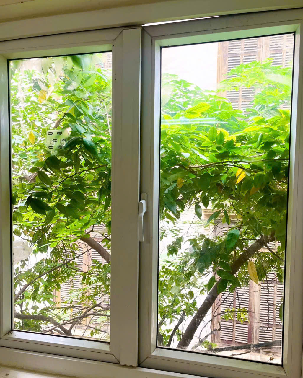 CHO THUÊ NGUYÊN CĂN 78m² x 6 TẦNG – PHỐ VĨNH PHÚC, BA ĐÌNH – GIÁ CHỈ 1X